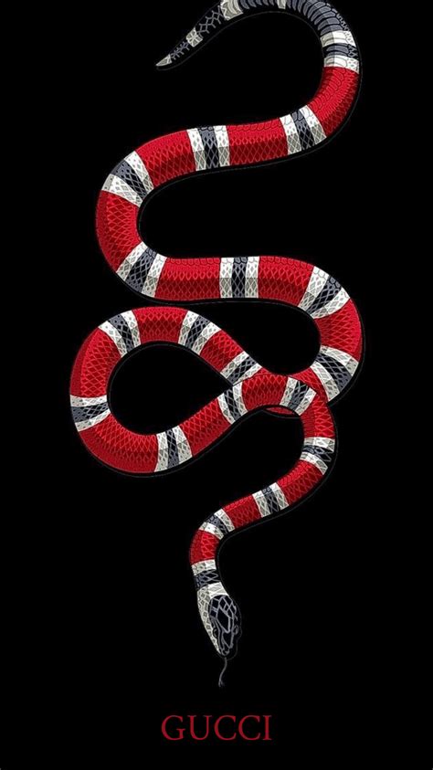 gucci snake decor|gucci tiger background.